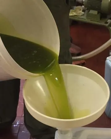 Limoni Poggi
